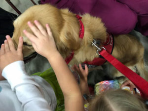 Therapy dog Indy getting petted by kids